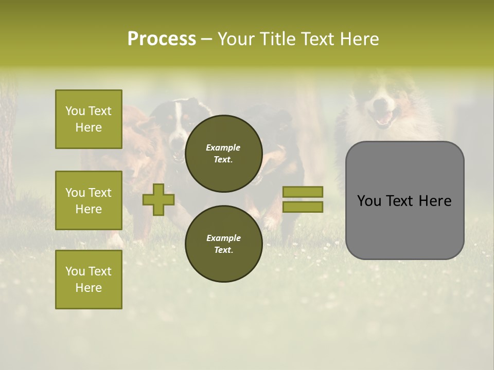 A Group Of Dogs Running In The Grass PowerPoint Template