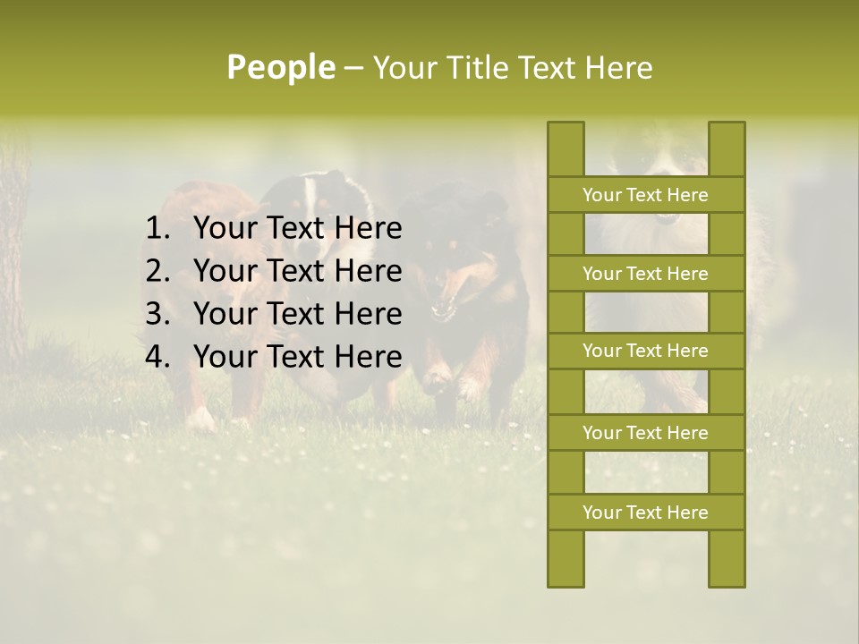 A Group Of Dogs Running In The Grass PowerPoint Template