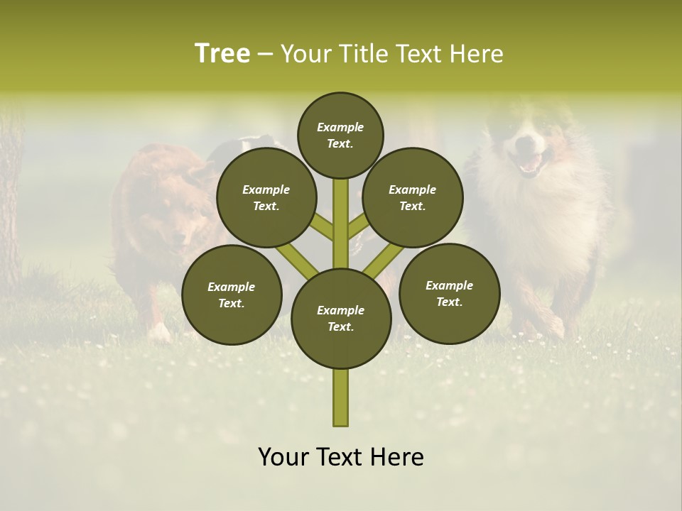 A Group Of Dogs Running In The Grass PowerPoint Template