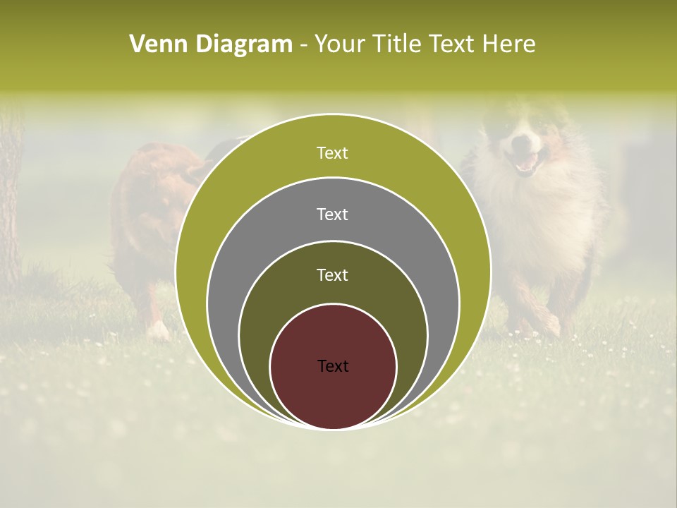 A Group Of Dogs Running In The Grass PowerPoint Template
