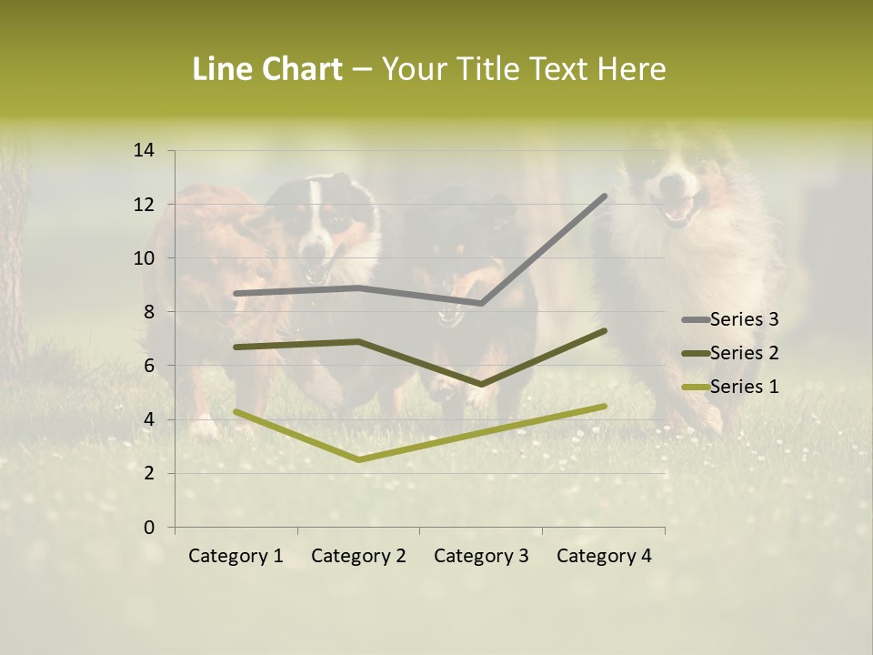 A Group Of Dogs Running In The Grass PowerPoint Template