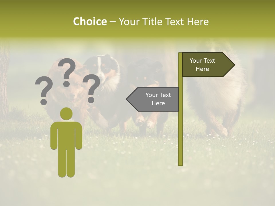 A Group Of Dogs Running In The Grass PowerPoint Template