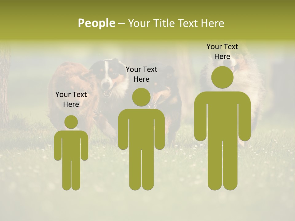 A Group Of Dogs Running In The Grass PowerPoint Template