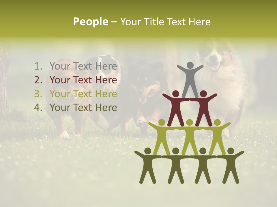 A Group Of Dogs Running In The Grass PowerPoint Template