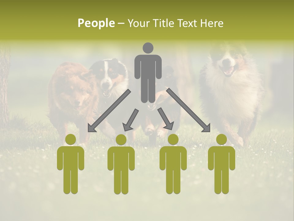 A Group Of Dogs Running In The Grass PowerPoint Template