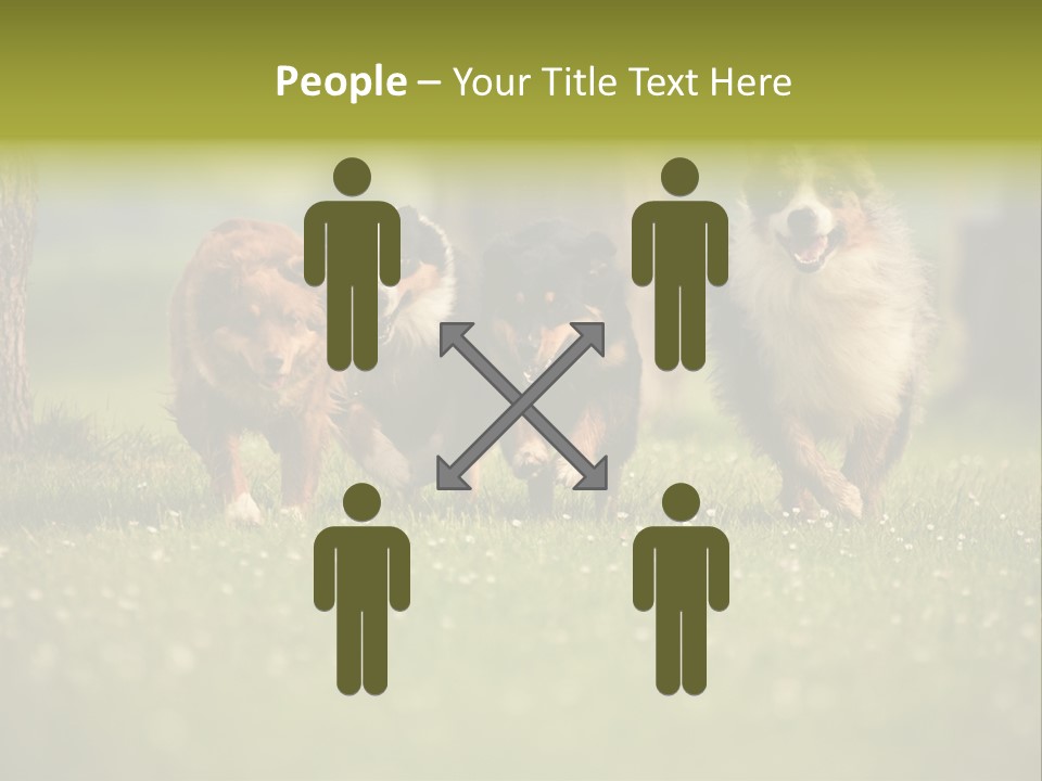A Group Of Dogs Running In The Grass PowerPoint Template