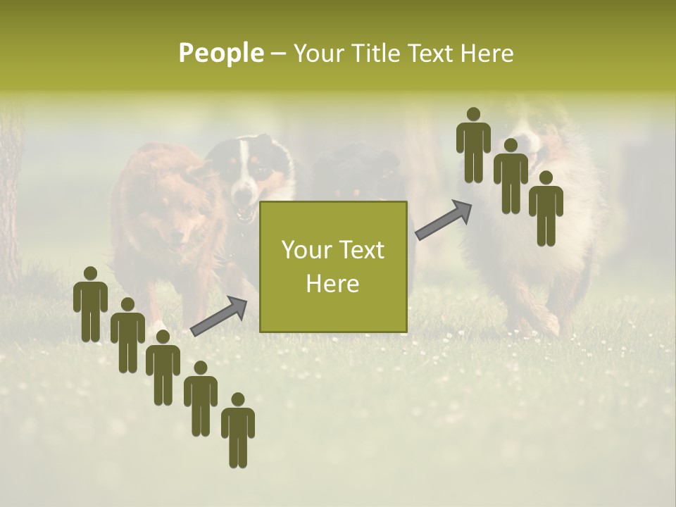 A Group Of Dogs Running In The Grass PowerPoint Template