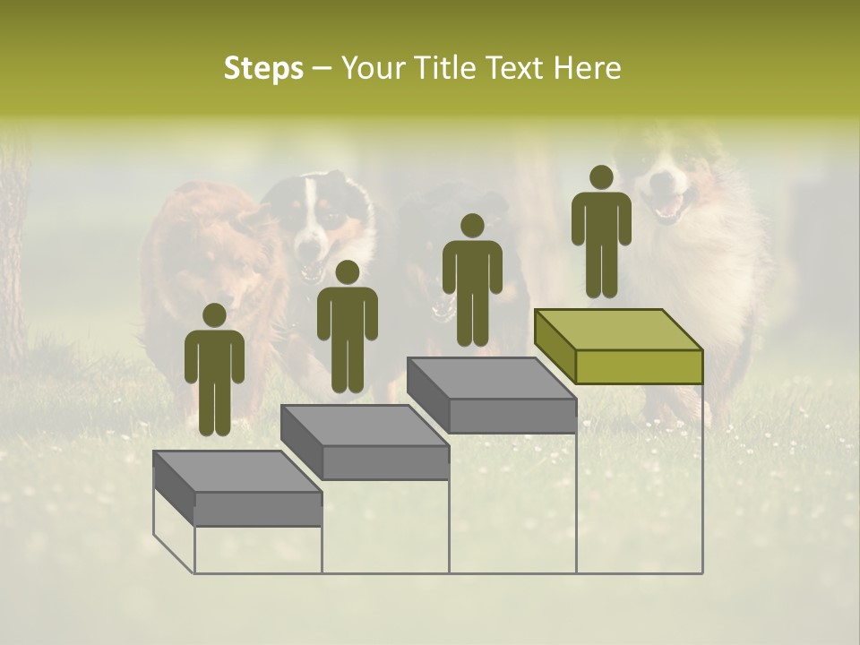 A Group Of Dogs Running In The Grass PowerPoint Template