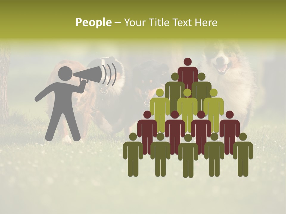 A Group Of Dogs Running In The Grass PowerPoint Template