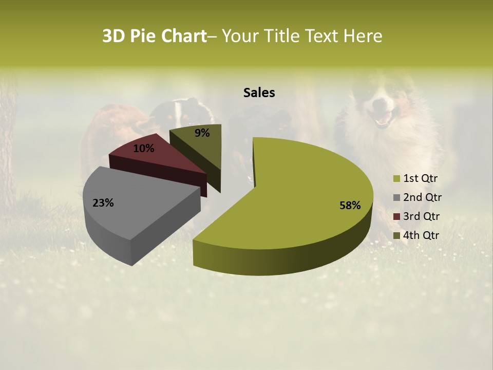 A Group Of Dogs Running In The Grass PowerPoint Template