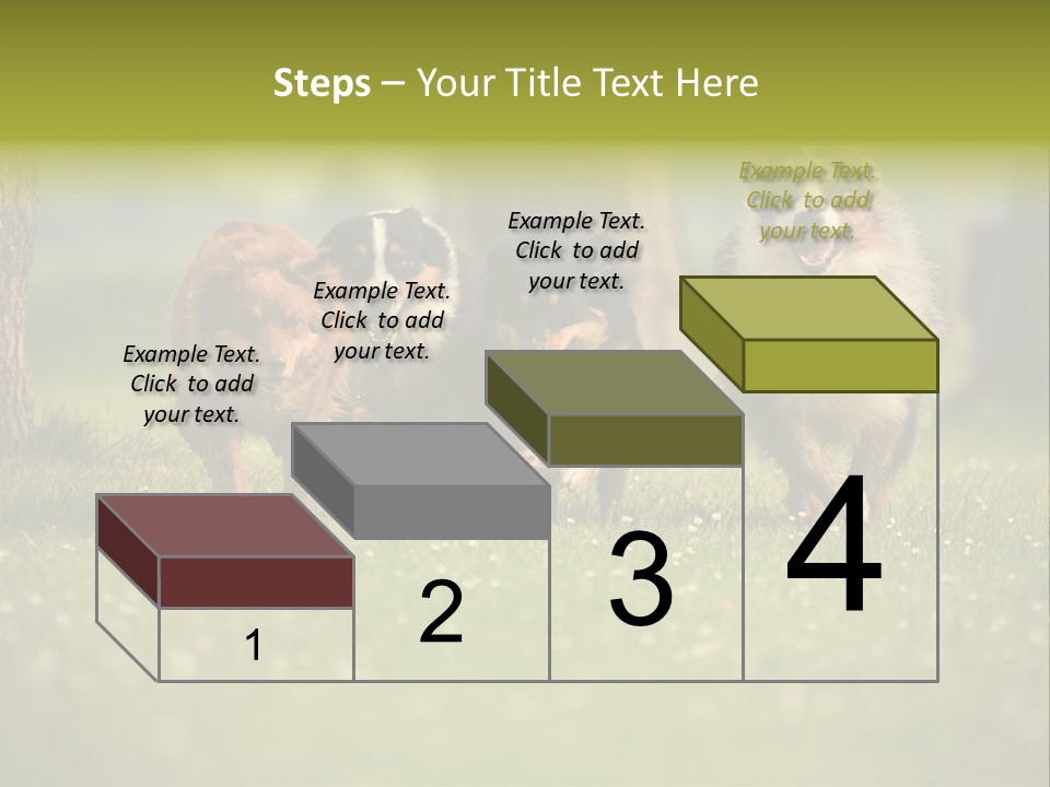 A Group Of Dogs Running In The Grass PowerPoint Template