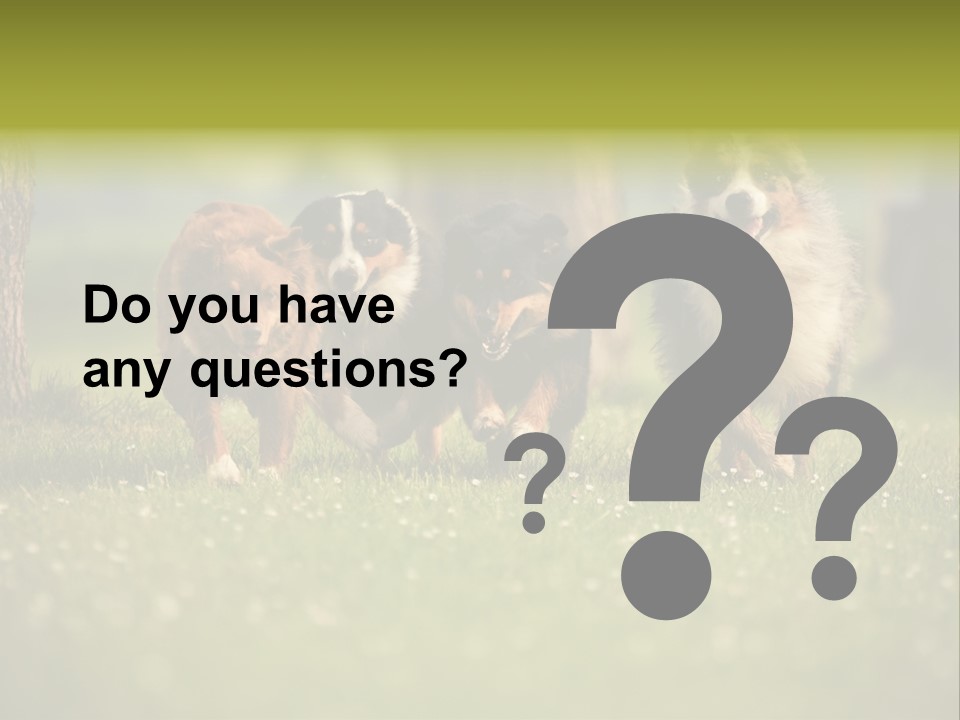 A Group Of Dogs Running In The Grass PowerPoint Template