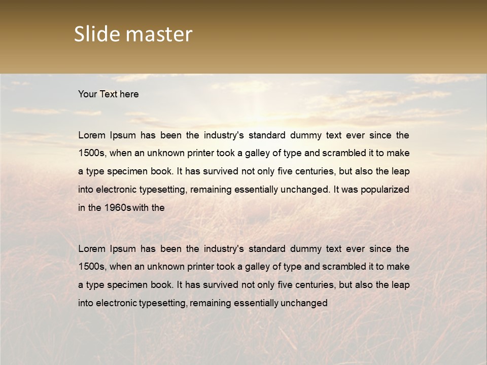 A Field Of Grass With The Sun In The Background PowerPoint Template