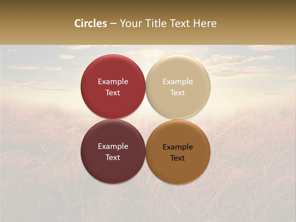 A Field Of Grass With The Sun In The Background PowerPoint Template