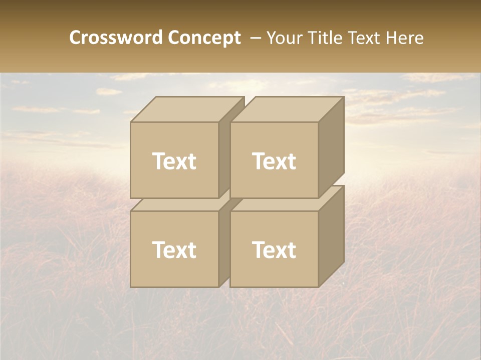 A Field Of Grass With The Sun In The Background PowerPoint Template