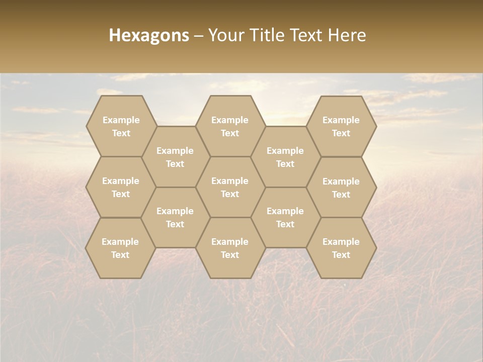 A Field Of Grass With The Sun In The Background PowerPoint Template