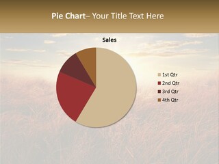 A Field Of Grass With The Sun In The Background PowerPoint Template