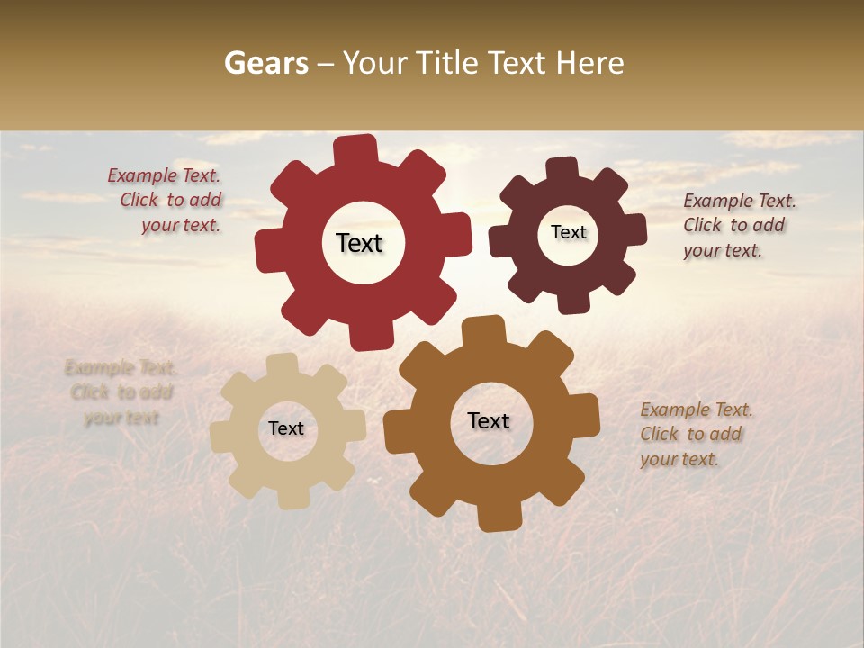 A Field Of Grass With The Sun In The Background PowerPoint Template