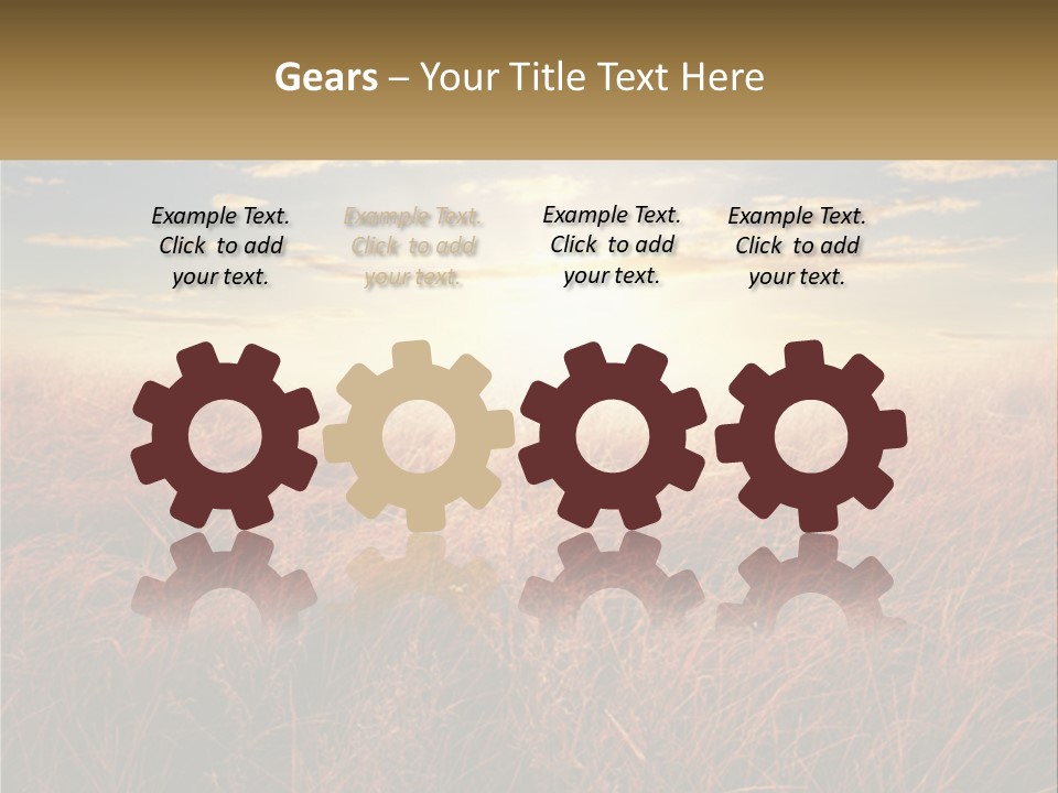 A Field Of Grass With The Sun In The Background PowerPoint Template