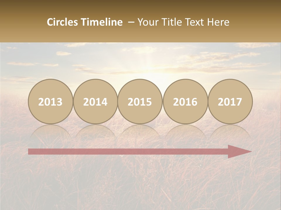 A Field Of Grass With The Sun In The Background PowerPoint Template