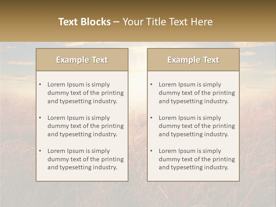 A Field Of Grass With The Sun In The Background PowerPoint Template
