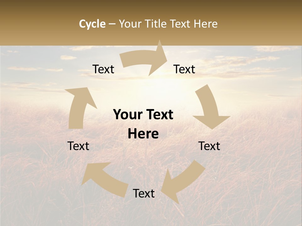 A Field Of Grass With The Sun In The Background PowerPoint Template