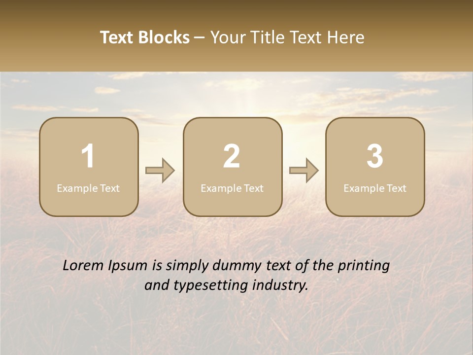 A Field Of Grass With The Sun In The Background PowerPoint Template