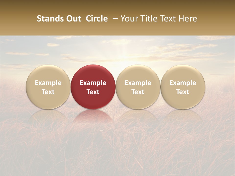 A Field Of Grass With The Sun In The Background PowerPoint Template