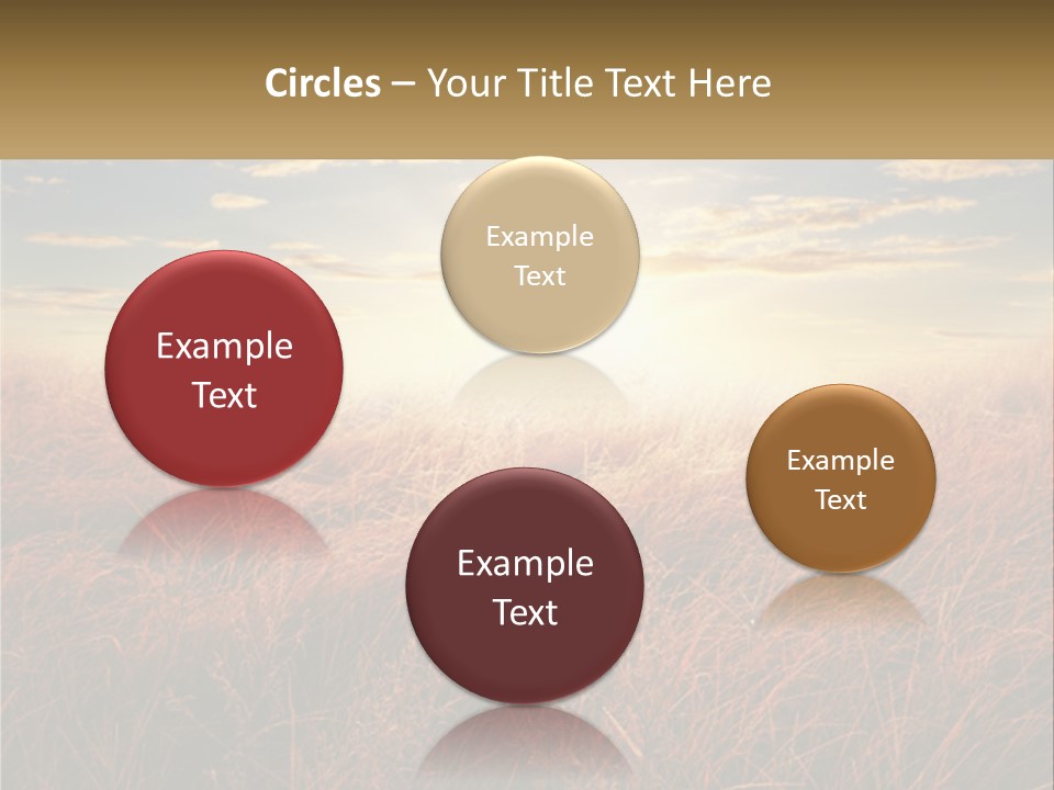A Field Of Grass With The Sun In The Background PowerPoint Template