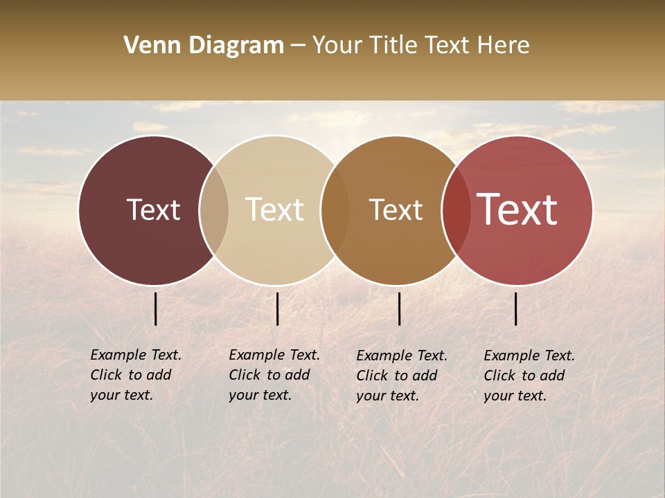 A Field Of Grass With The Sun In The Background PowerPoint Template