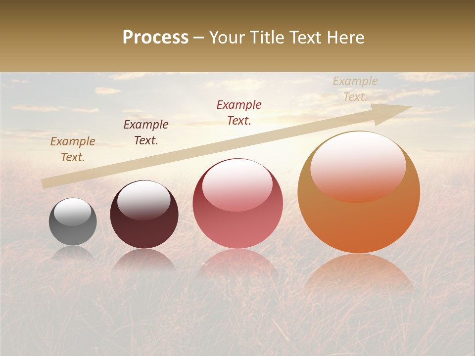 A Field Of Grass With The Sun In The Background PowerPoint Template