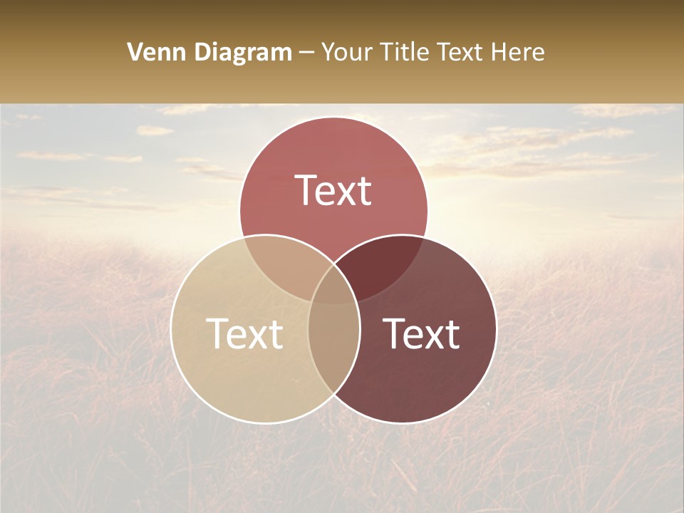 A Field Of Grass With The Sun In The Background PowerPoint Template