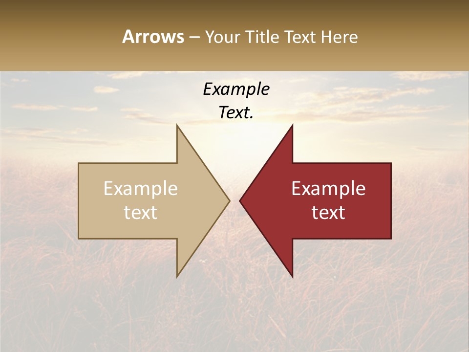 A Field Of Grass With The Sun In The Background PowerPoint Template