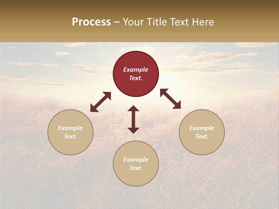 A Field Of Grass With The Sun In The Background PowerPoint Template