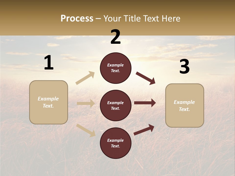 A Field Of Grass With The Sun In The Background PowerPoint Template