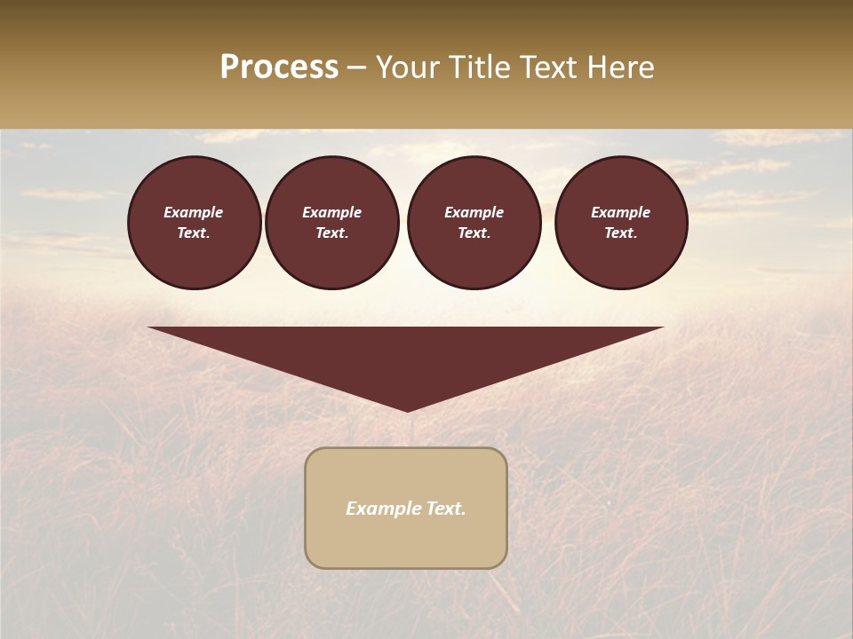 A Field Of Grass With The Sun In The Background PowerPoint Template