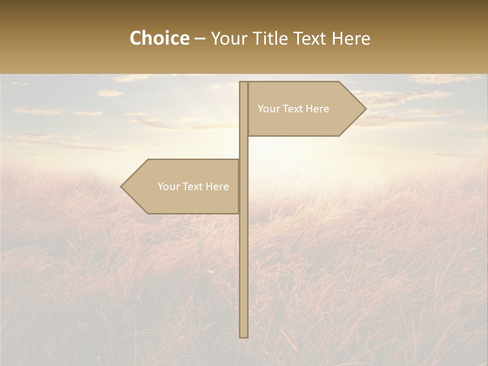 A Field Of Grass With The Sun In The Background PowerPoint Template