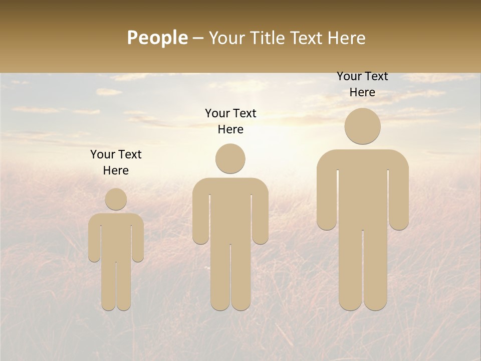 A Field Of Grass With The Sun In The Background PowerPoint Template