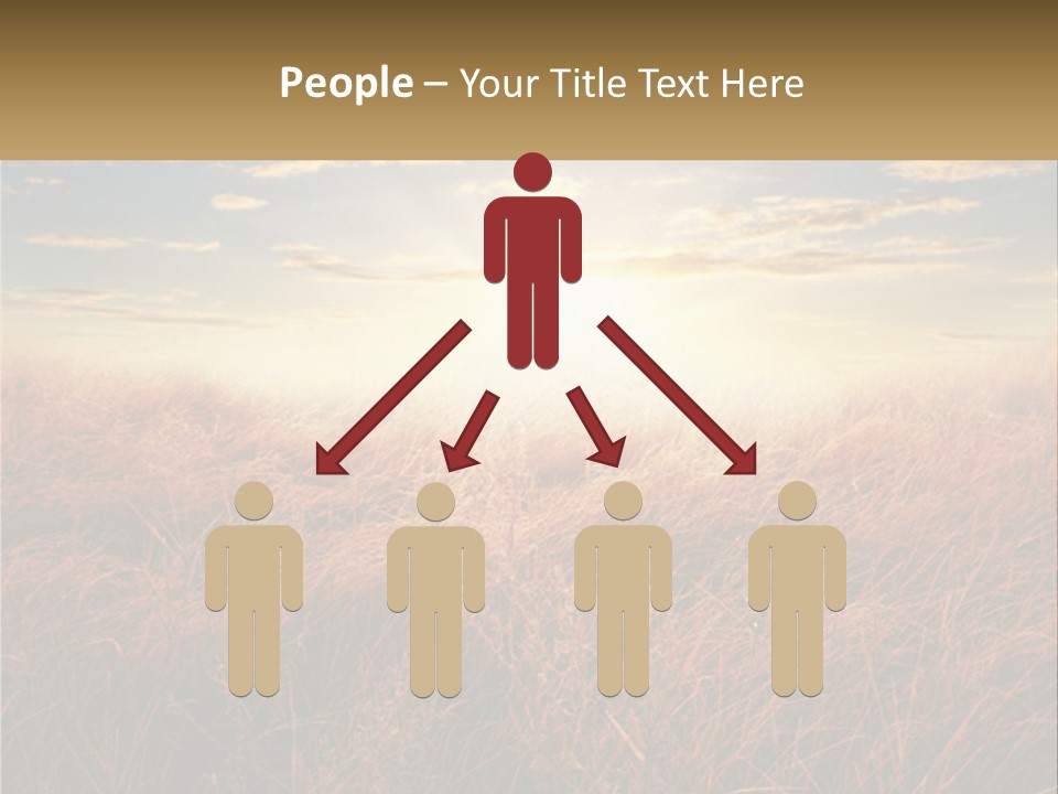 A Field Of Grass With The Sun In The Background PowerPoint Template
