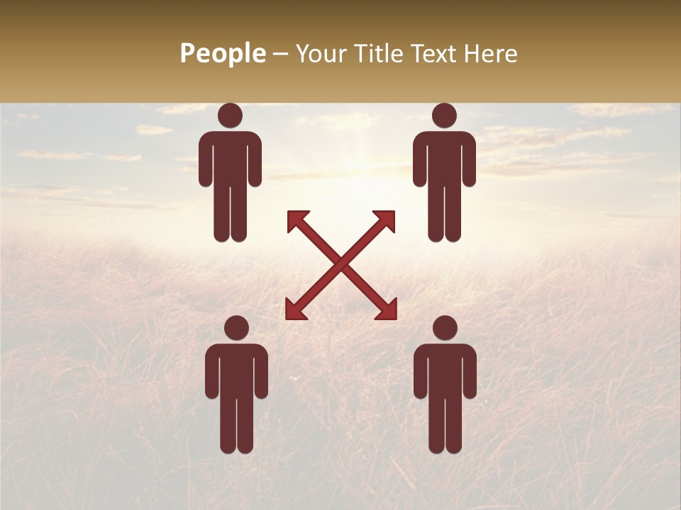 A Field Of Grass With The Sun In The Background PowerPoint Template
