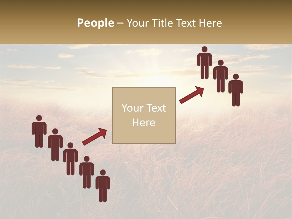 A Field Of Grass With The Sun In The Background PowerPoint Template