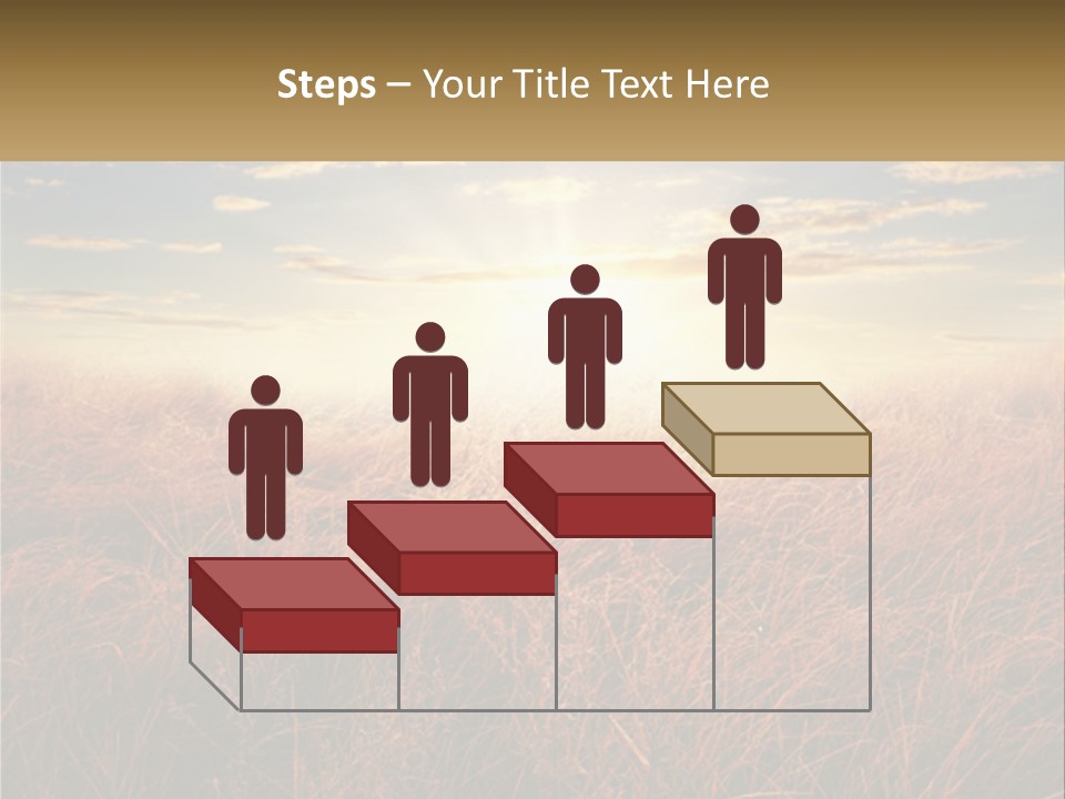 A Field Of Grass With The Sun In The Background PowerPoint Template